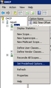 DHCP predefined options