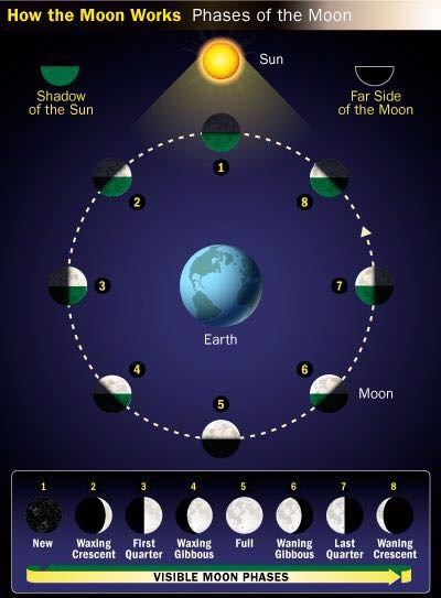 How moon phase works